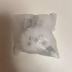 リービット アイドル