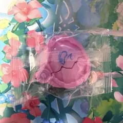 マイスシードエグズ TAF付属