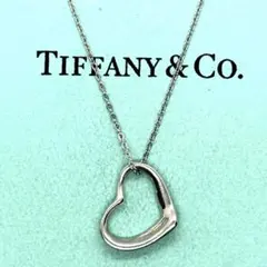 2026年最新】TIFFANYの人気アイテム - メルカリ