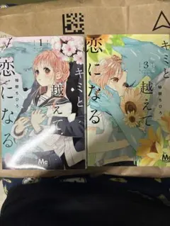 キミと超えて恋になる　1 3 巻