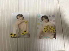 fantastics 中島颯太 フォトカード　sunflower