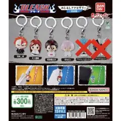 BLEACH めじるしアクセサリー2～破面篇～