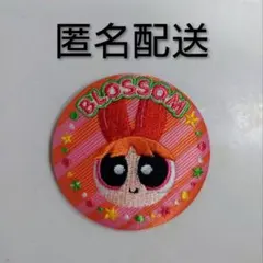 パワーパフガールズ　刺繍缶バッジ　ブロッサム