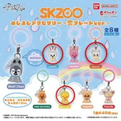 SKZOO めじるしアクセサリー 雲プレートver. 　　　　3種セット