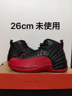 Nike Air Jordan 12 Retro 