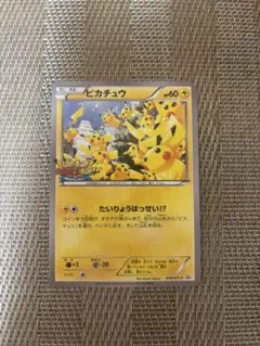 ピカチュウ 大量発生チュウ たいりょうはっせい 070/XY-P ポケモン