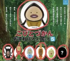 こびとづかん おすすめマスコット 5 シークレット有り