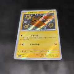 2026年最新】色違いピカチュウSの人気アイテム - メルカリ