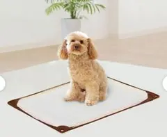 Item thumbnail for item 658a8339-4e37-44ff-9d0d-f03bb64a0fb9