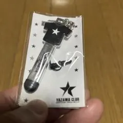 Item thumbnail for item c0a6d6fa-45c0-4650-8fbc-3bb0ee20dbb5