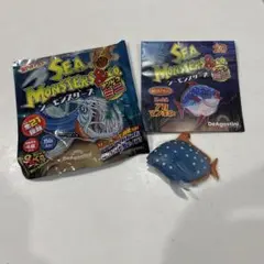 シーモンスターズ&co. アカマンボウ