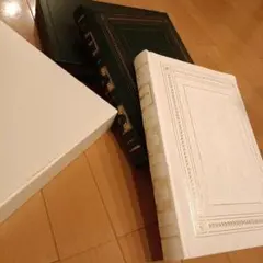 Item thumbnail for item ea536300-896f-495e-956b-390b79adf534