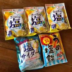 塩飴 飴 キャンディ レモン 梅 サイダー 塩レモン キャンディー 塩分補給