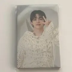 SEVENTEEN アコーディオントレカ