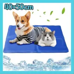 Item thumbnail for item 915e472d-0ffe-4a26-bf2e-613d7e2d3dce