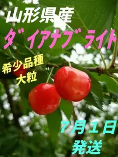 さくらんぼ　ダイアナブライト　大粒　250g×２パック　希少品種　山形県産のサムネイル
