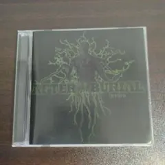 AFTER　THE　BURIAL　rareform　アルバム　メタル