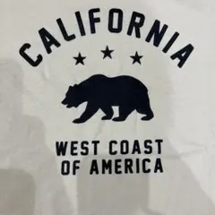 California 州旗　Ｔシャツ　新品L ベージュ