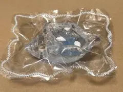 ホラ貝　透明　スクイーズ