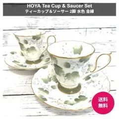 HOYA ティーカップ＆ソーサー 2脚 水色 ボタニカル 金縁