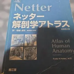 ネッター 解剖学アトラス 原書第4版 南江堂 - メルカリ