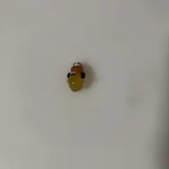 めじるしアクセサリー