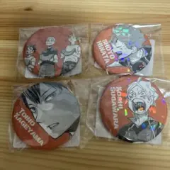 日向翔陽・影山飛雄・菅原孝支 缶バッジ4個セット ハイキュー