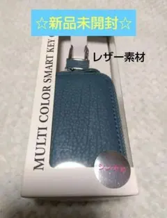 MULTI COLOR SMART KEY ケース ユニセックス　#6