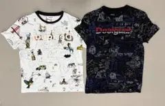 デシグアル　Desigual Tシャツ ホワイト系ブラック系2枚組￼Mサイズのサムネイル