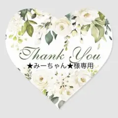 ★みーちゃん★様 専用