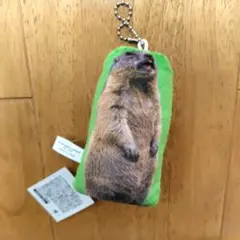 叫ぶ！マーモット音声付き　マスコットボールチェーン