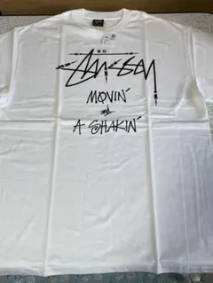 タグ付未使用！静岡チャプト限定old stussy plug Tシャツ