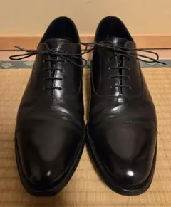 2026年最新】シェットランドフォックス 8の人気アイテム - メルカリ