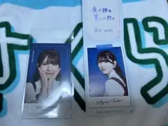 乃木坂 のぎめくり B賞 ハズレ券付き 筒井あやめ