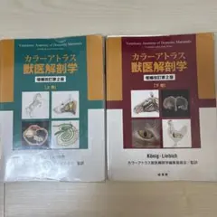 2026年最新】解剖学カラーアトラスの人気アイテム - メルカリ