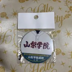 たけやん様 リクエスト 2点 まとめ商品