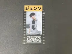 ジュンソ ALD1 トレカ - メルカリ