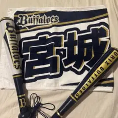 2026年最新】宮城大弥の人気アイテム - メルカリ