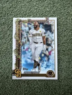 フェルナンドタティスjr topps holiday 2025