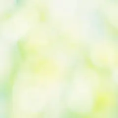 [M.S様専用]のサムネイル