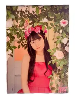 新品】井上和 グラビアチャンピオン Vol.2 ポスター ポストカード
