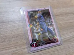 Item thumbnail for item f6e3de45-6a29-4497-8c2e-f22d9d6a6e47