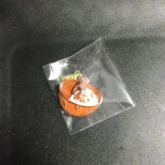 ゴールデンカムイ 網走監獄襲撃編 コレクションチャーム チポロサヨ