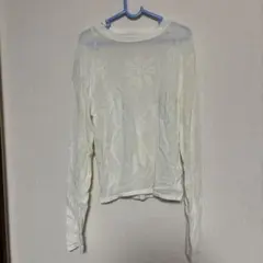 ZARA ホワイト メッシュ 長袖 トップス