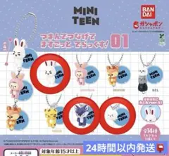 未開封❁ MINITEENつまんでつなげてますこっとでらっくす！01 6個