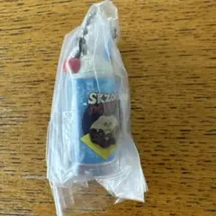 SKZOOレトログラスミニチュアチャーム パピーム