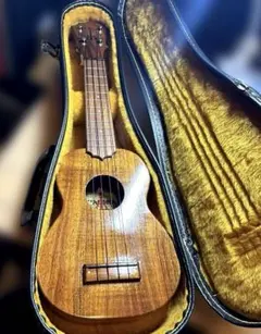 Item thumbnail for item f6594d38-e06e-4742-9592-ff419b70f6aa