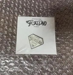 SEVENTEEN セブチ Follow to Japan 東京　ピンバッチ