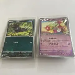 Nのゾロア　プロモ、リーリエのキュワワー　プロモ