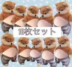 おなかぷにぷにシール　10枚セット 柴犬　スクイーズ　シリコン　まとめ売り